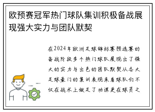 欧预赛冠军热门球队集训积极备战展现强大实力与团队默契