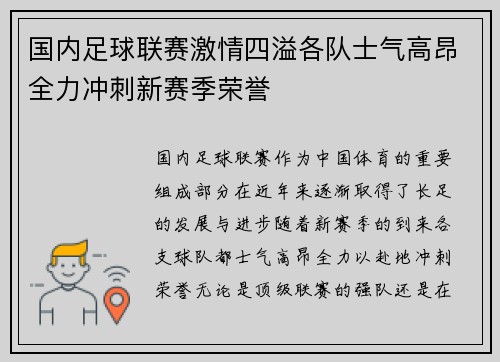 国内足球联赛激情四溢各队士气高昂全力冲刺新赛季荣誉
