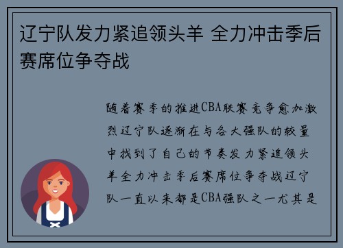 辽宁队发力紧追领头羊 全力冲击季后赛席位争夺战