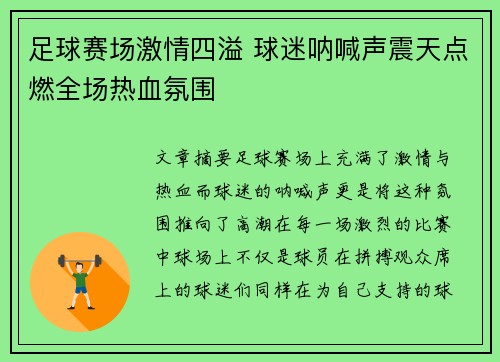 足球赛场激情四溢 球迷呐喊声震天点燃全场热血氛围